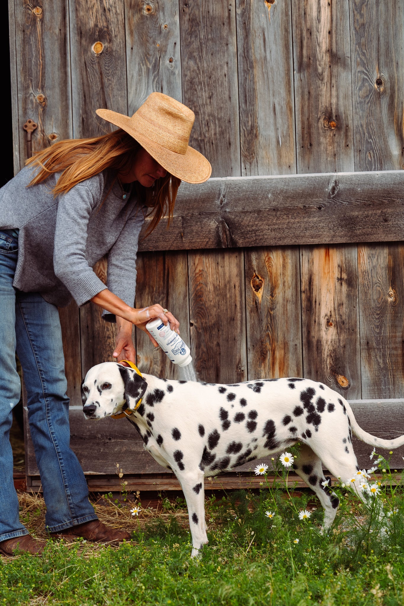 Barn Dog Dry Shampoo