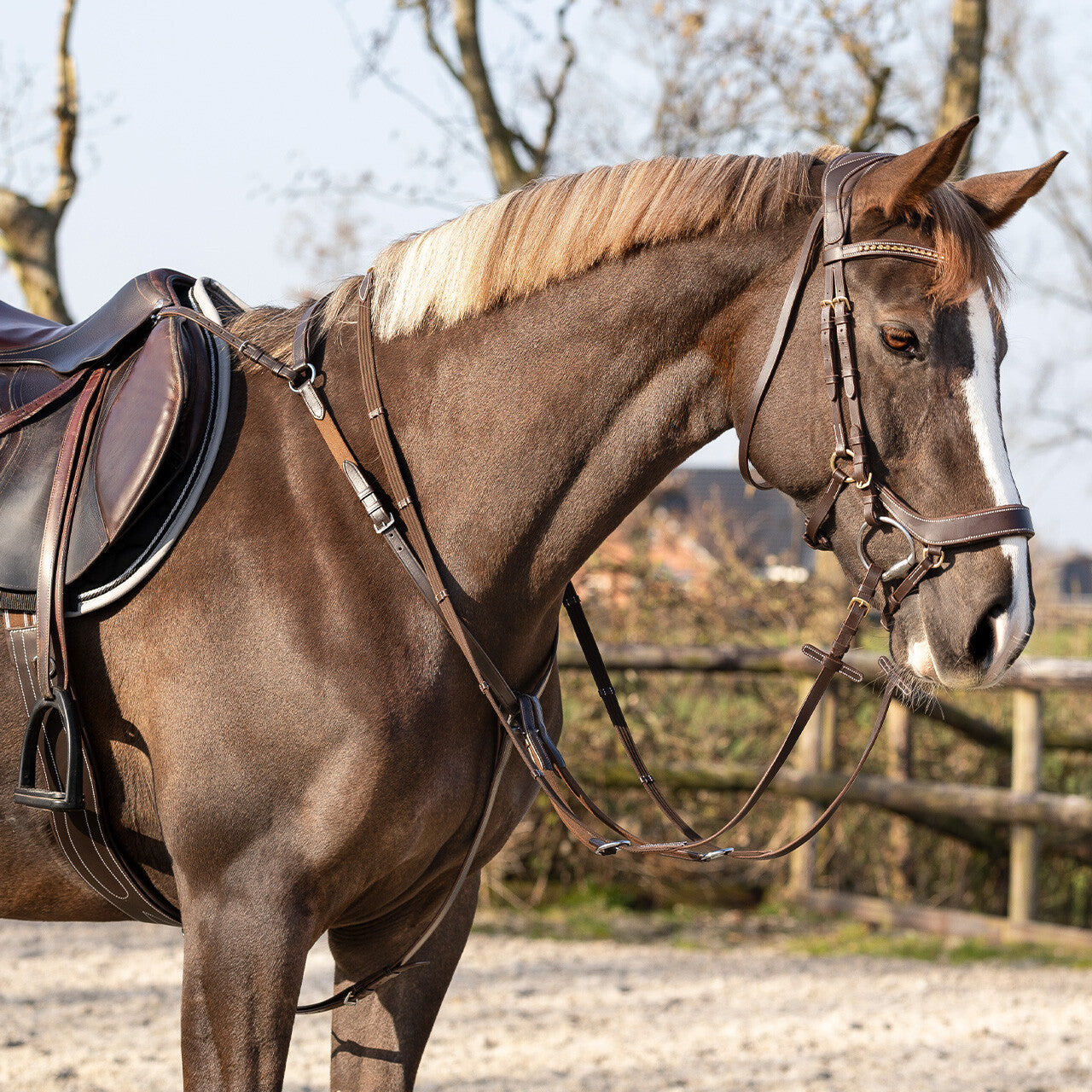 Leather Breastplate - Brown