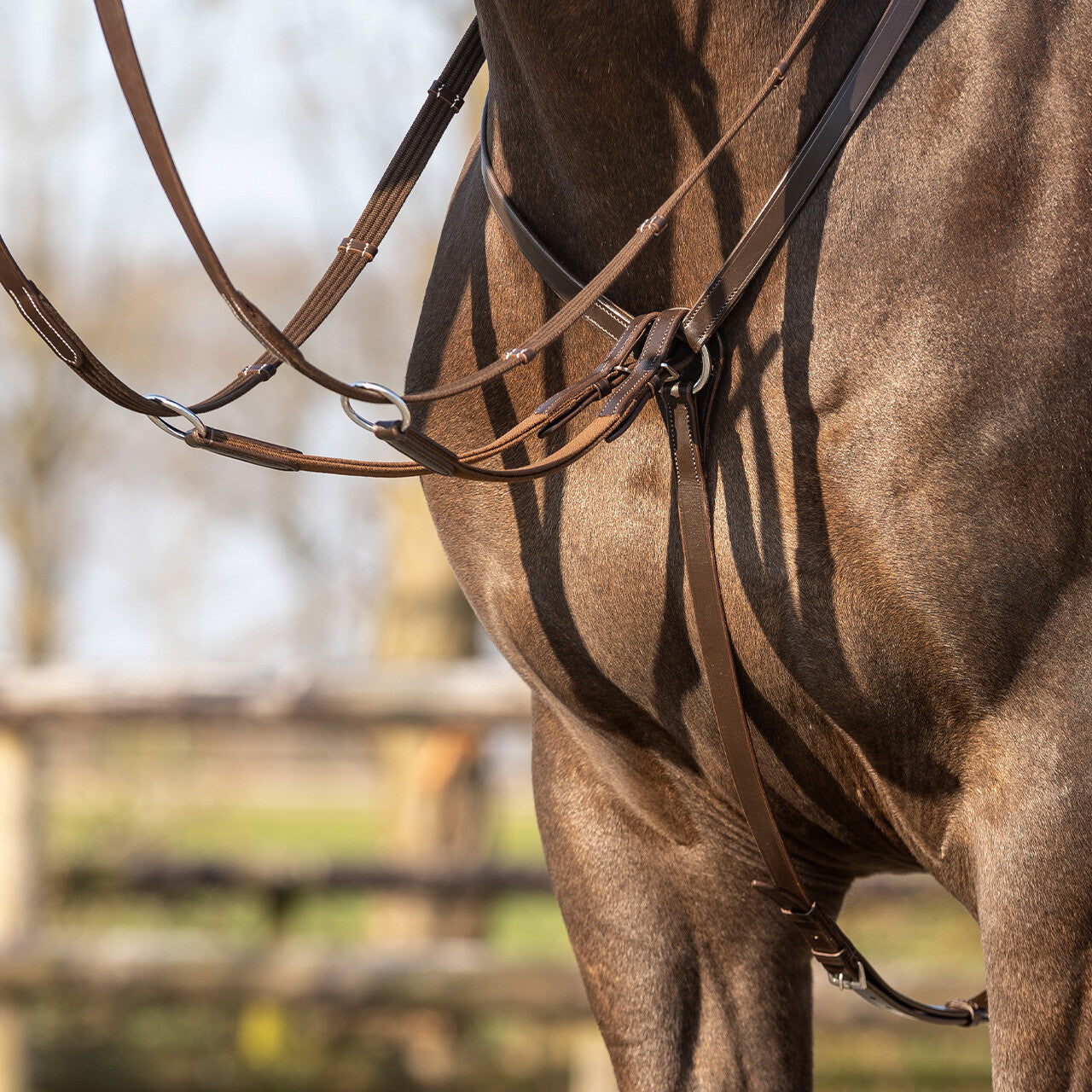 Leather Breastplate - Brown