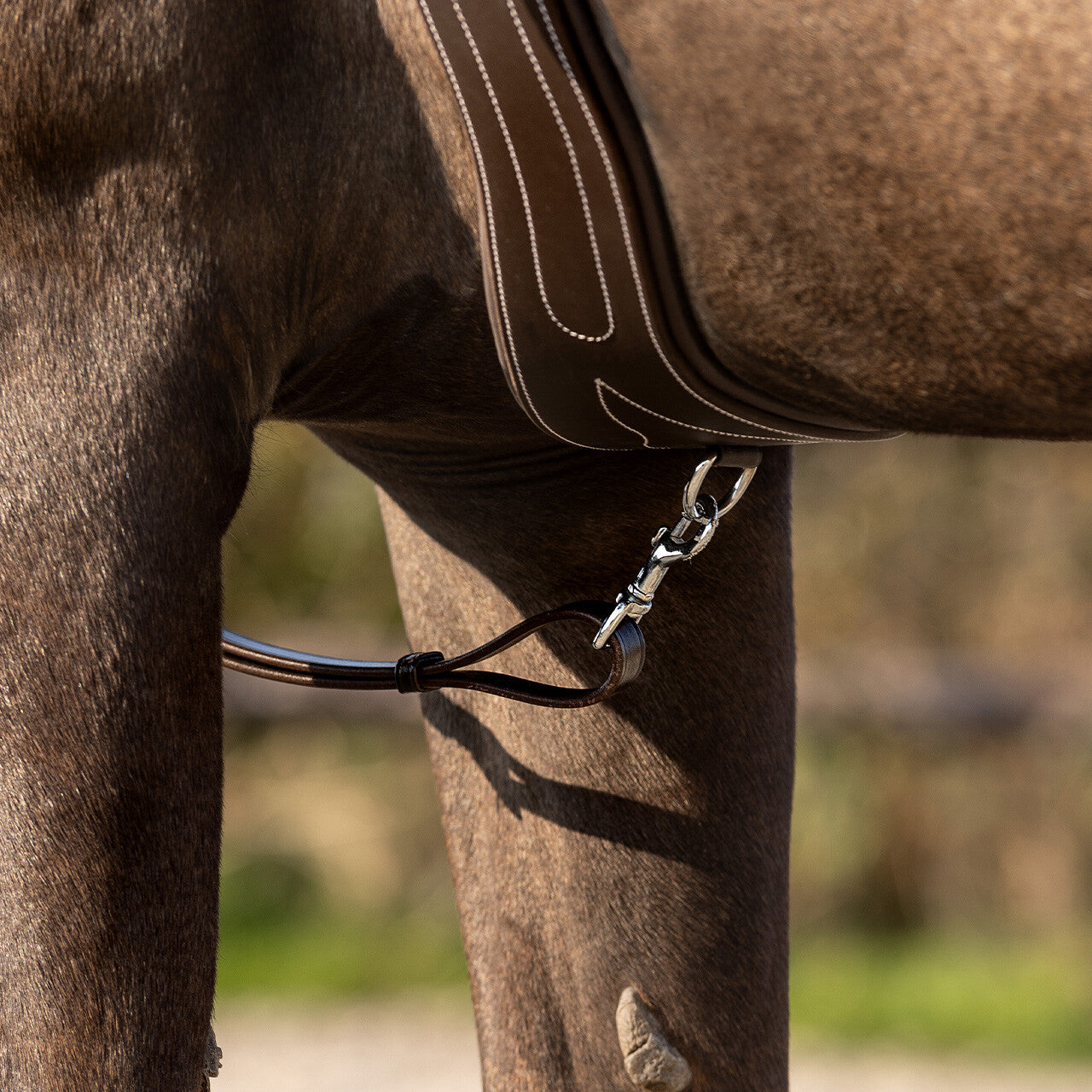 Leather Breastplate - Brown