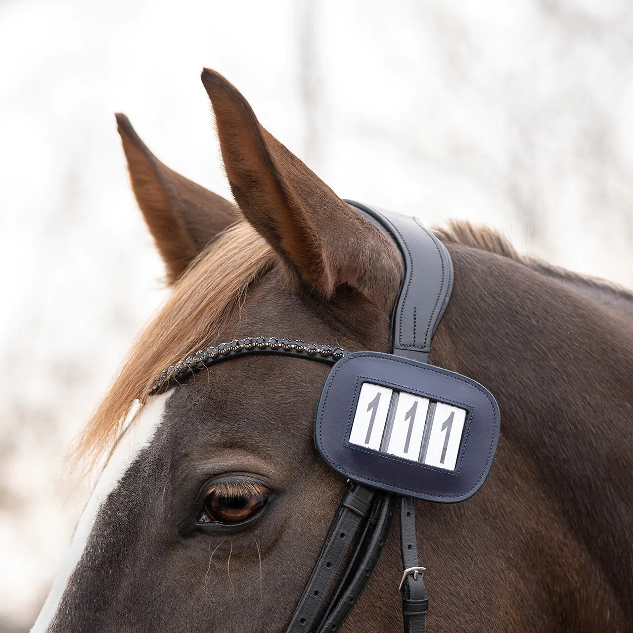 Modeste Number Holder - Square - Black