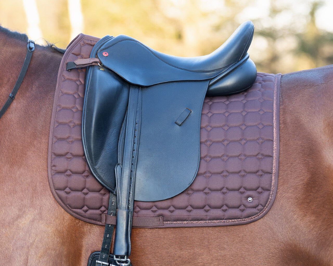 QHP Hailyn Saddle Pad - Brown - Dressage and Jump