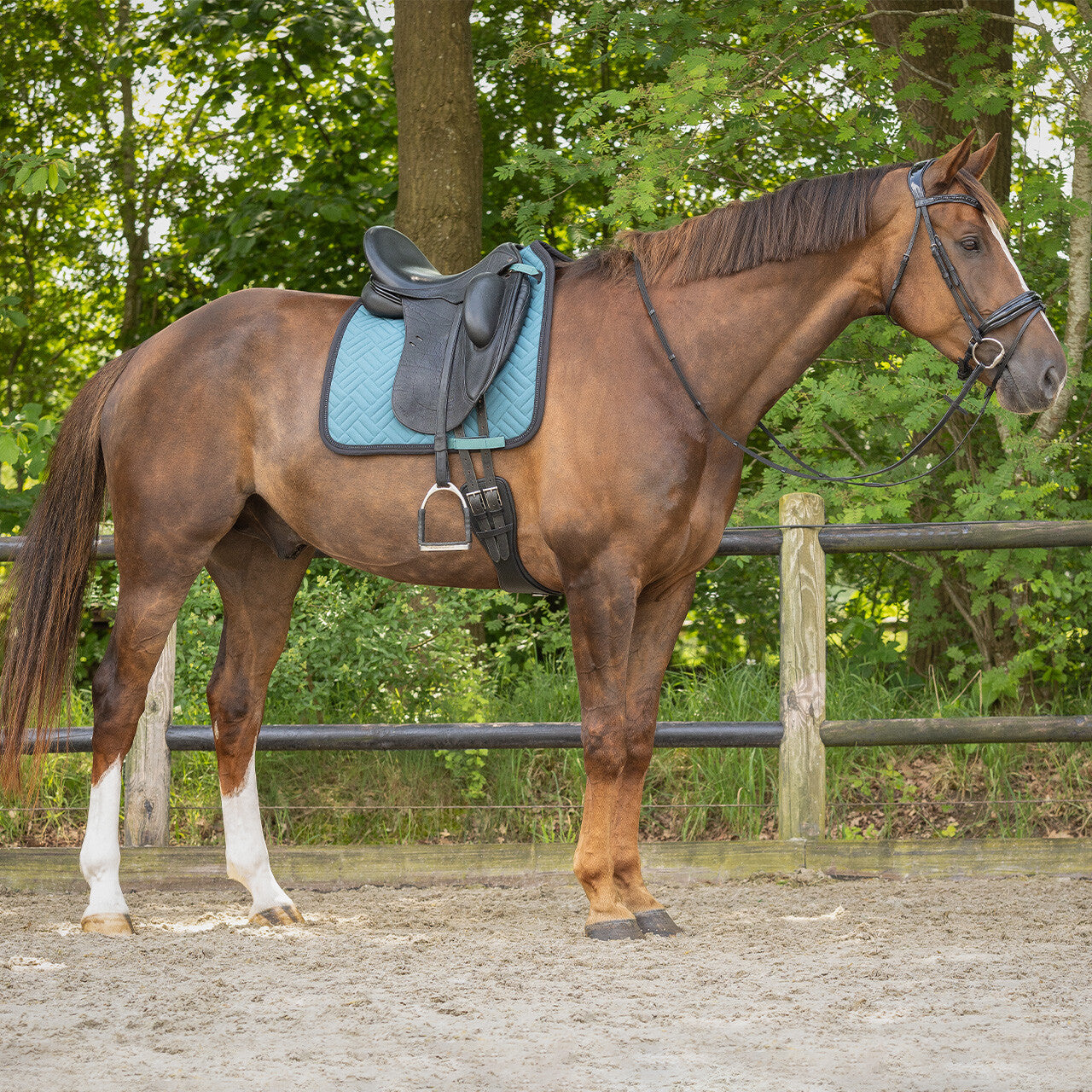 Micah Dressage Saddle Pad