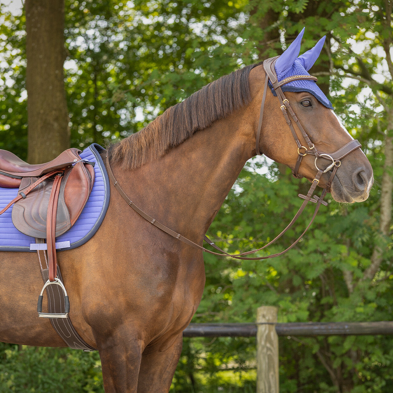Nyomi All Purpose Saddle Pad Periwinkle