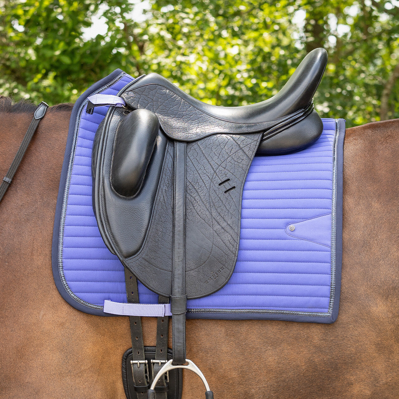Nyomi Dressage Saddle Pad Periwinkle