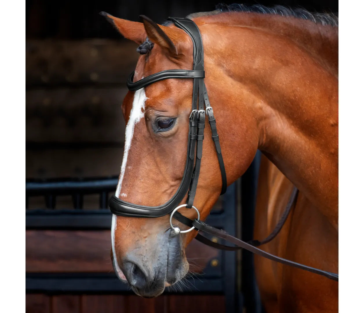 Velociti Ergonomic Rapida Bridle - Pro Series Plus
