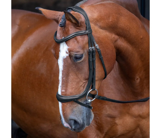 Velociti Ergonomic Rapida Flash Bridle - Pro Series Plus