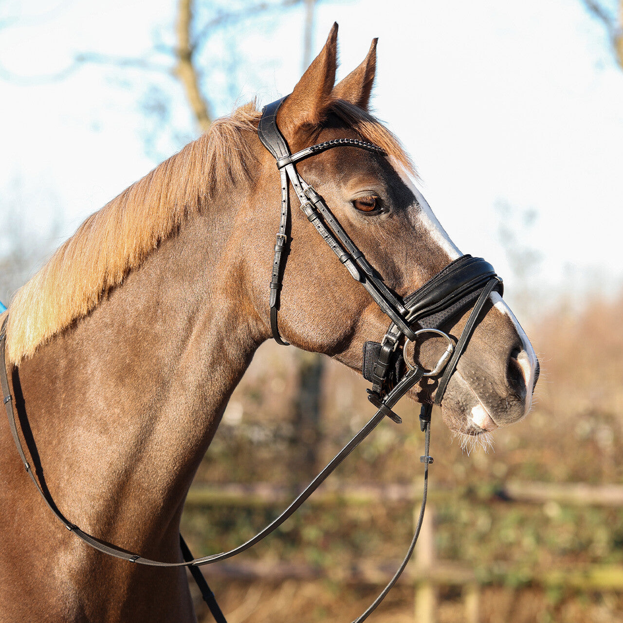 Air Mesh Noseband Pad