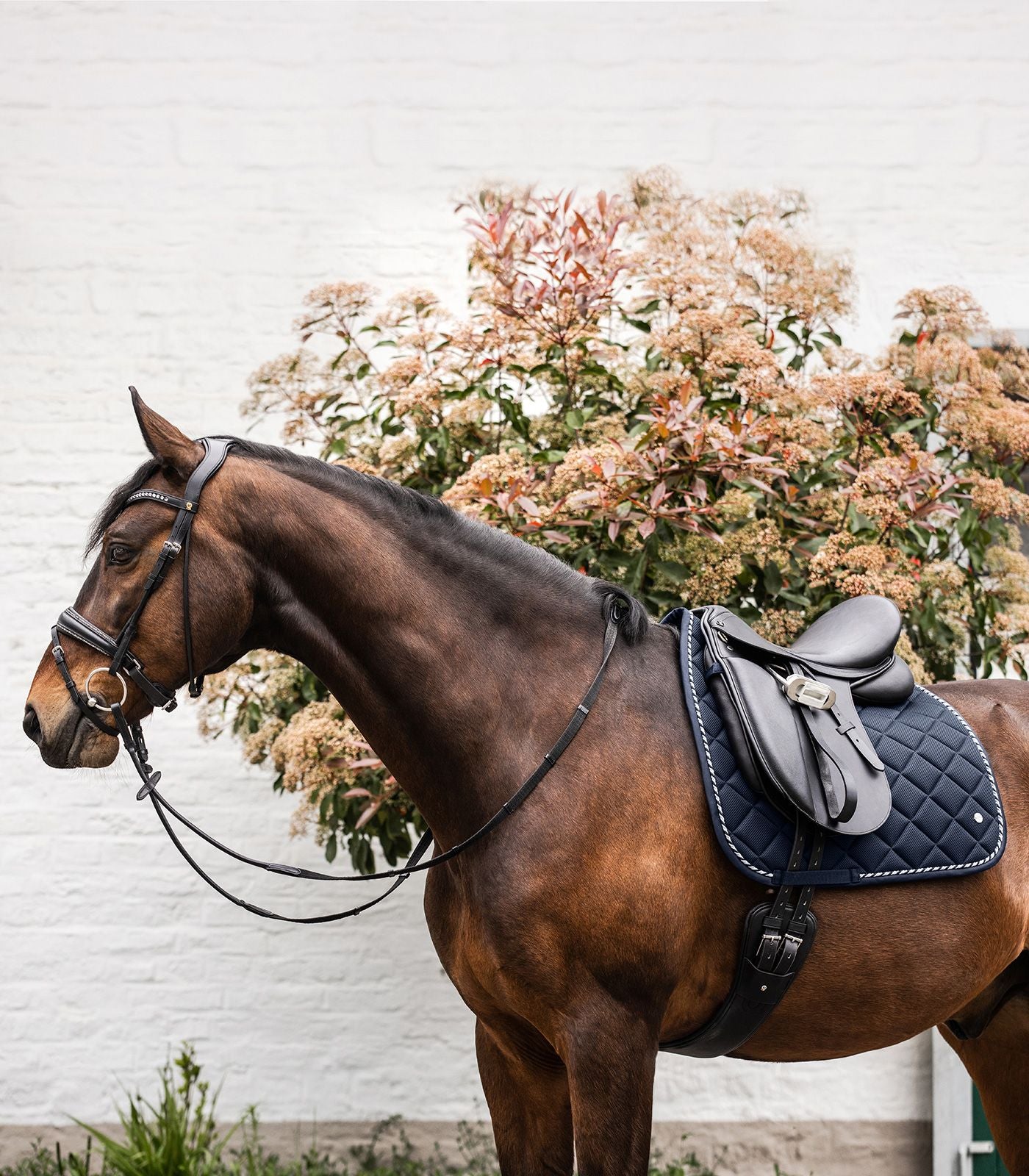 ELT Mesh Saddle Pad - Dark Navy - Dressage or Jump
