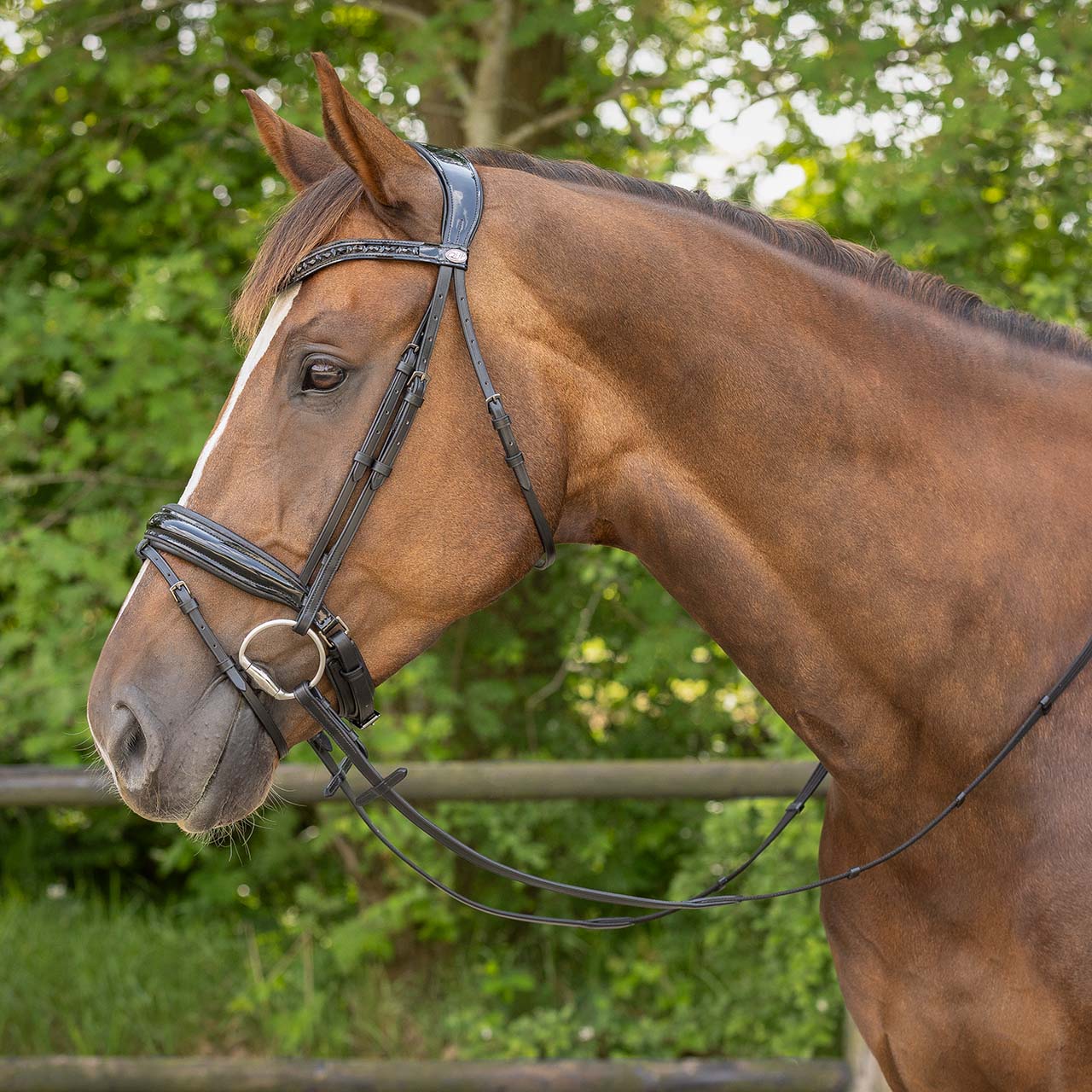 Arleth Patent Bridle
