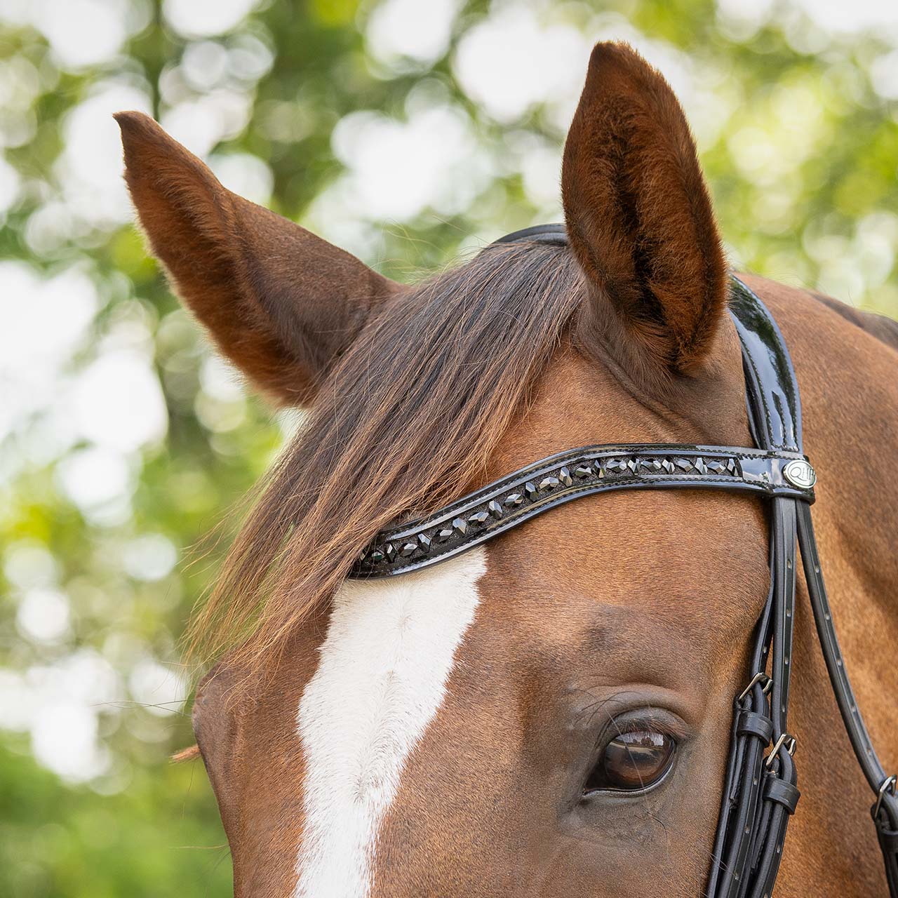 Arleth Patent Bridle