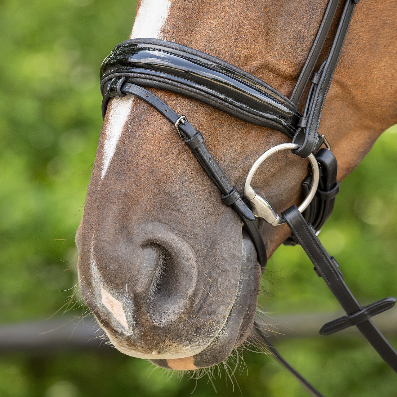 Arleth Patent Bridle