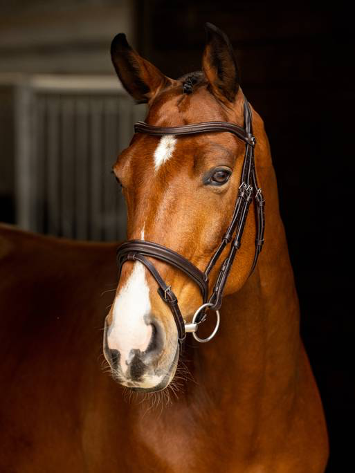 LeMieux Arika Flash Bridle Brown