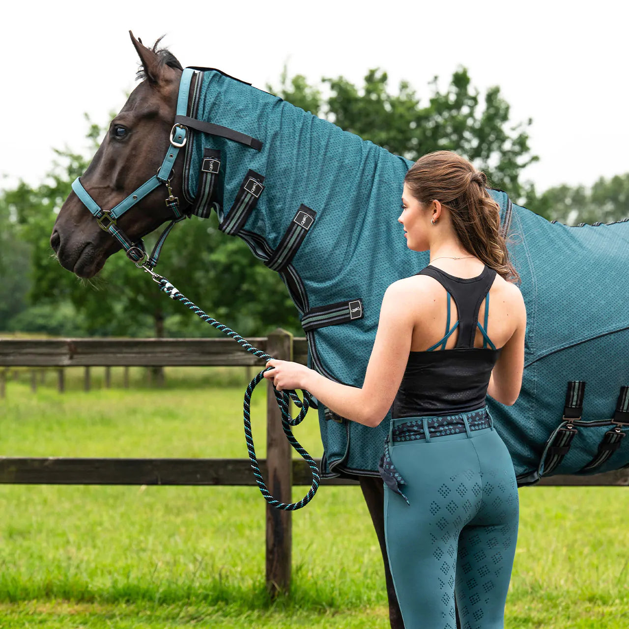Micah Riding Tights - Ocean Green
