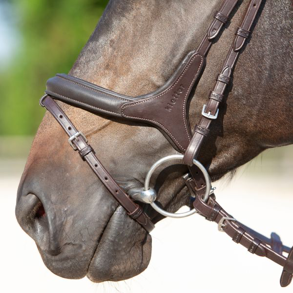 Ultrasoft Brown Snaffle Bridle Celia