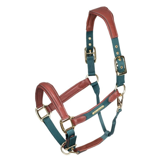 Velociti Lusso Padded Leather Halter - Green