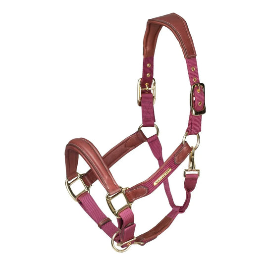 Velociti Lusso Padded Leather Halter - Burgundy