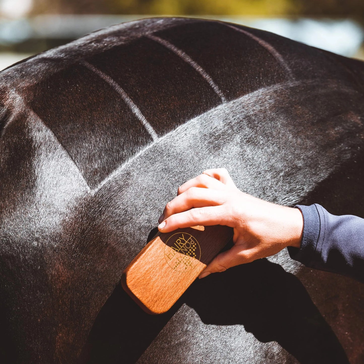 The Hairy Pony Quarter Mark Brush