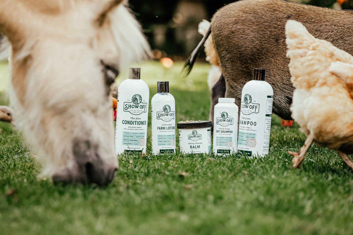 Show Off That Shine Conditioner