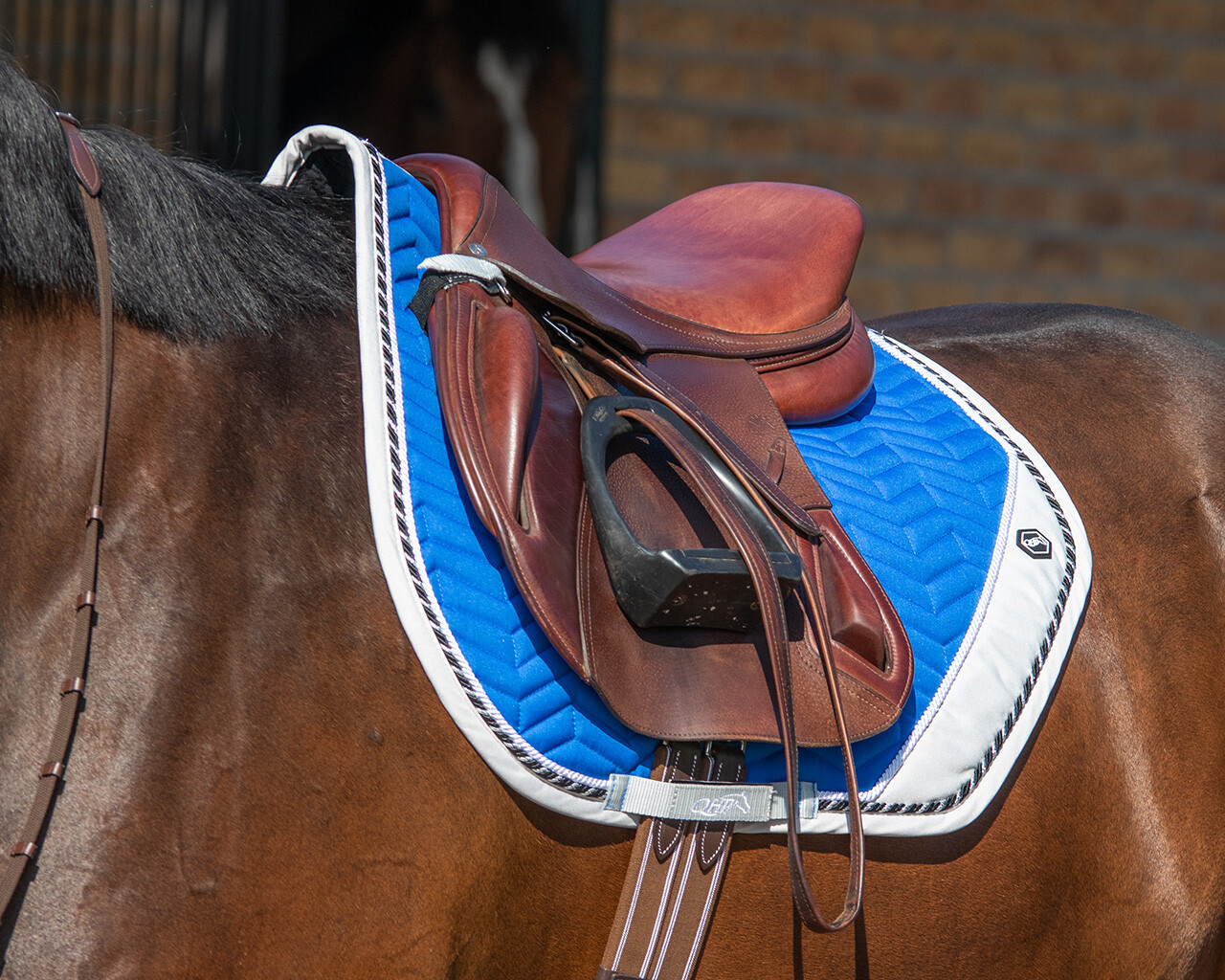 QHP Shiva Dressage Saddle Pad - Cobalt