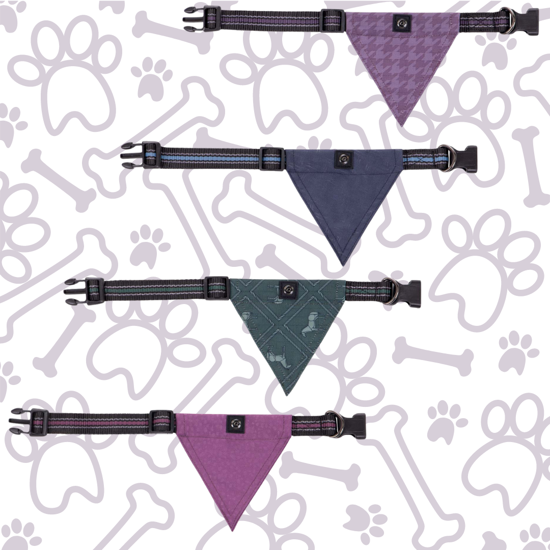 Bandana Dog Collars