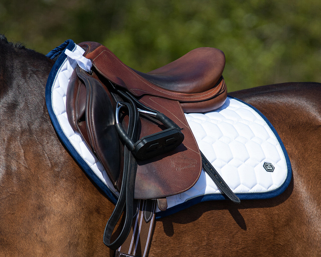 QHP El Dorado Saddle Pad - Arctic White - Dressage or Euro Jump