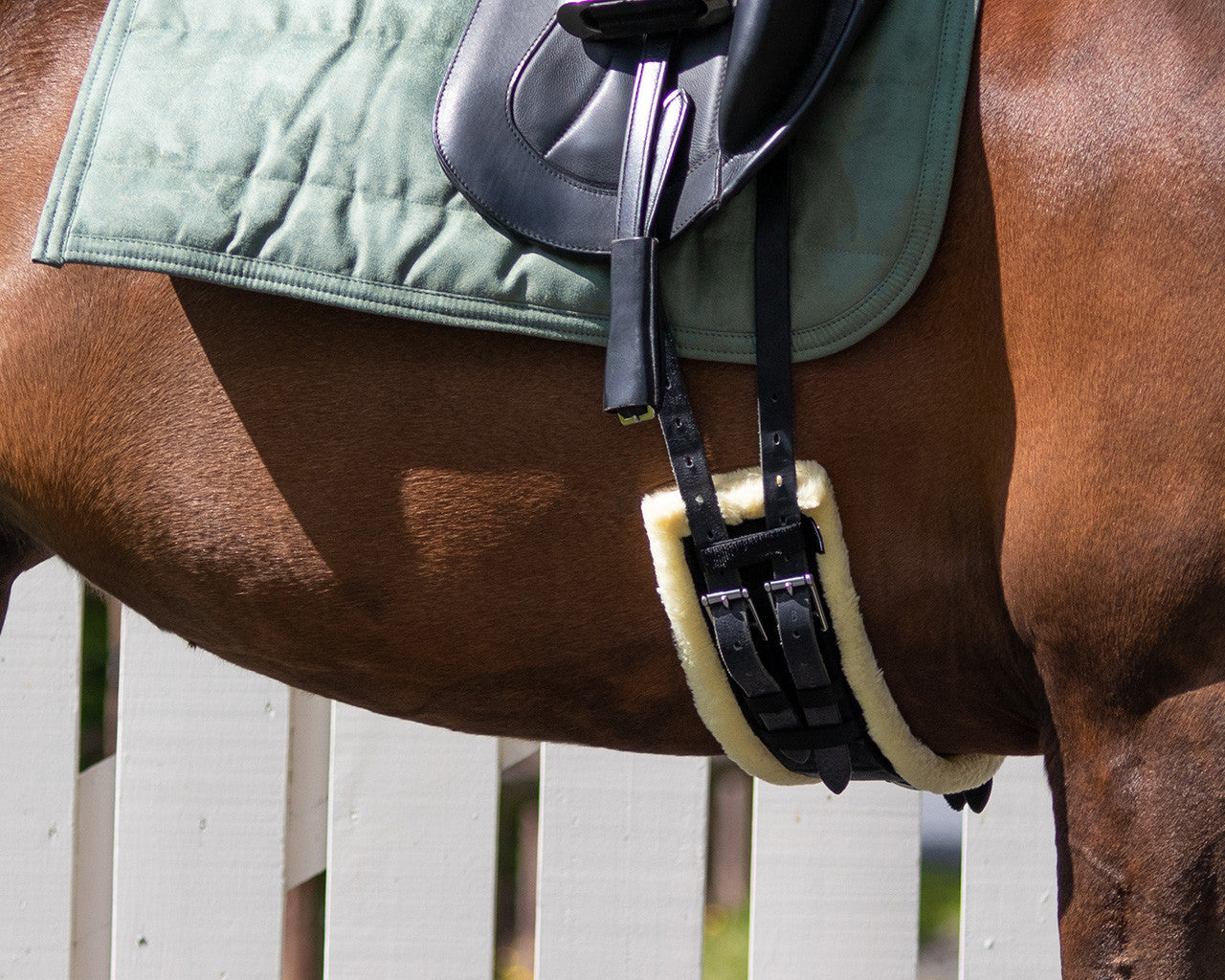 Ontario Dressage Girth