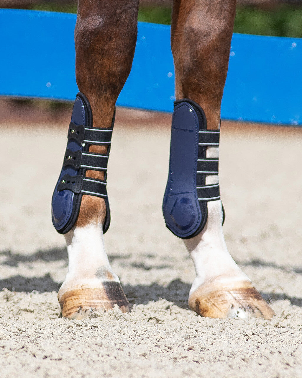 QHP Champion Open Front Jump Boots â Royal Equine