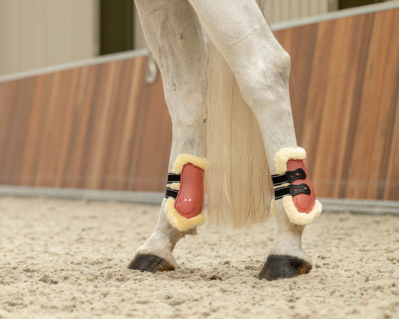 QHP Ontario Fetlock Boots - Dusty Cedar
