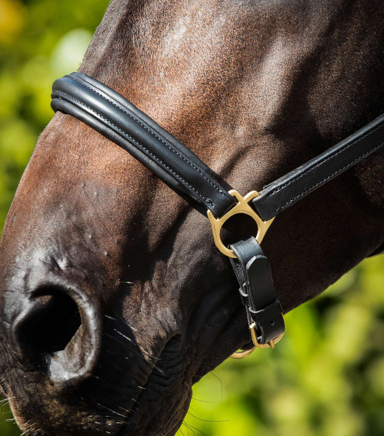 PEI Padded Leather Halter