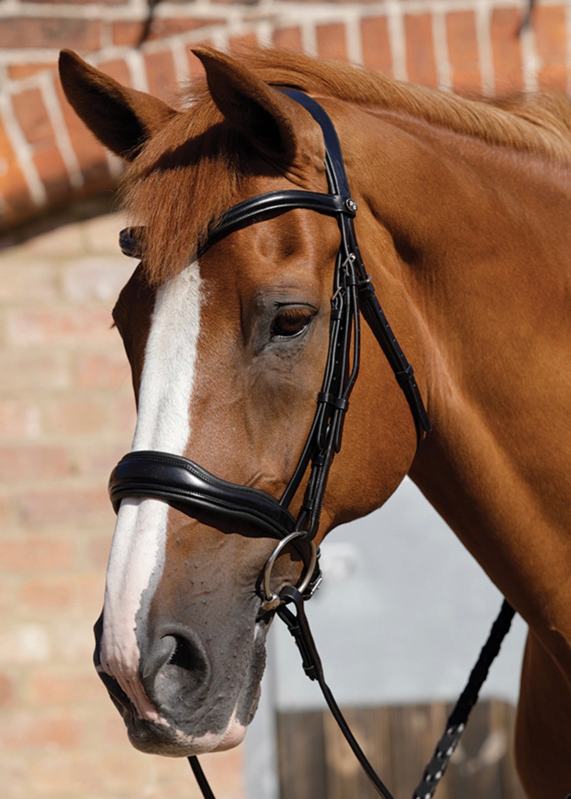 PEI Verdura Anatomic Snaffle Bridle
