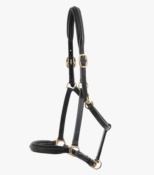 PEI Padded Leather Halter