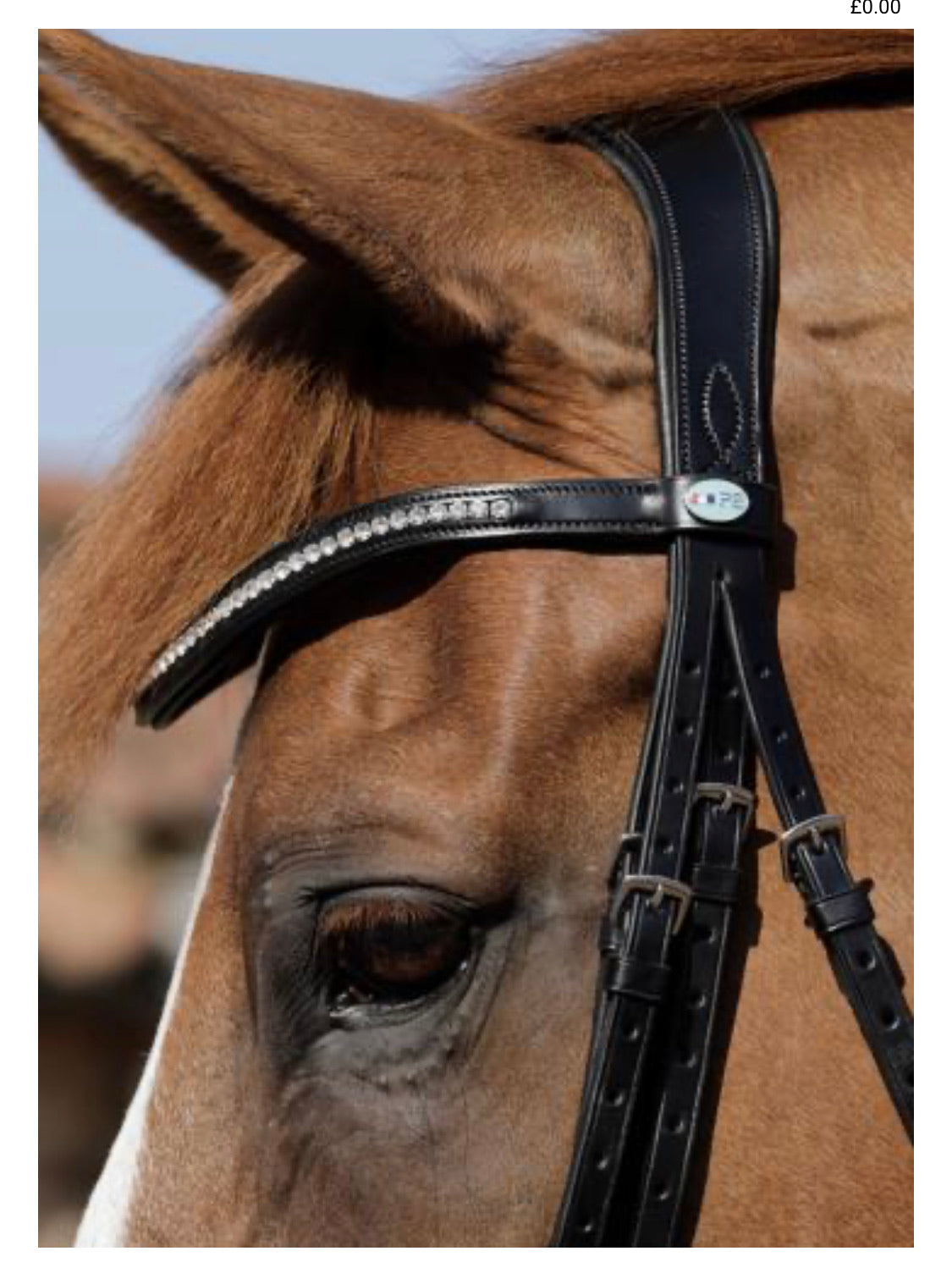 Premier Equine Abriano Double Bridle