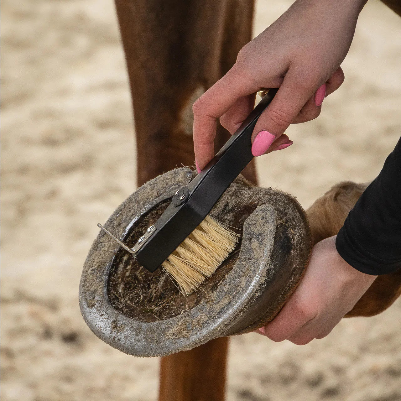 Wood and Tampico Grooming Set