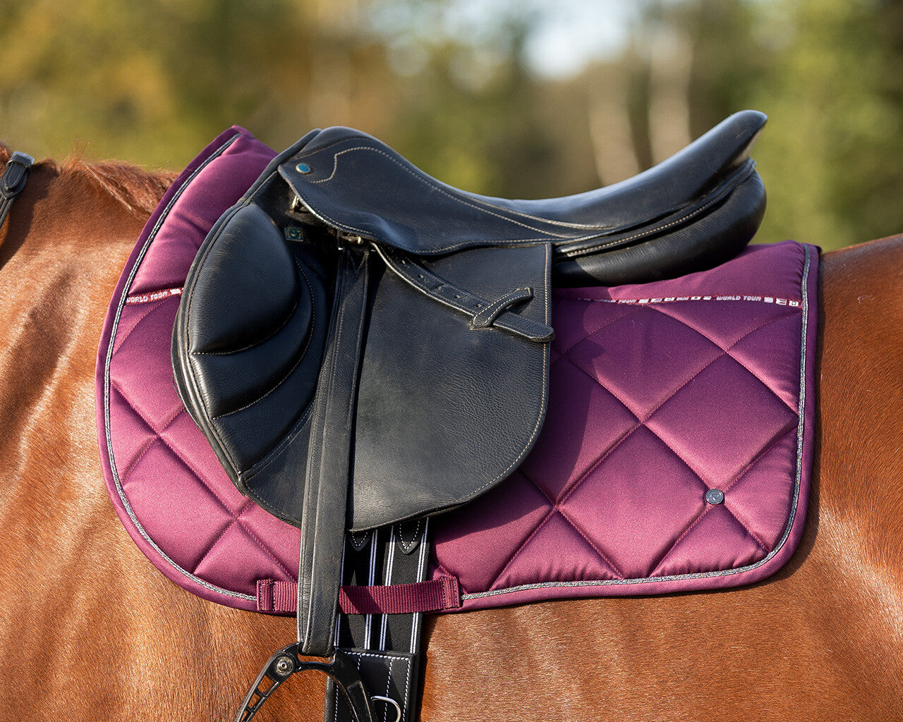 QHP World Tour Saddle Pad - Dressage and All Purpose