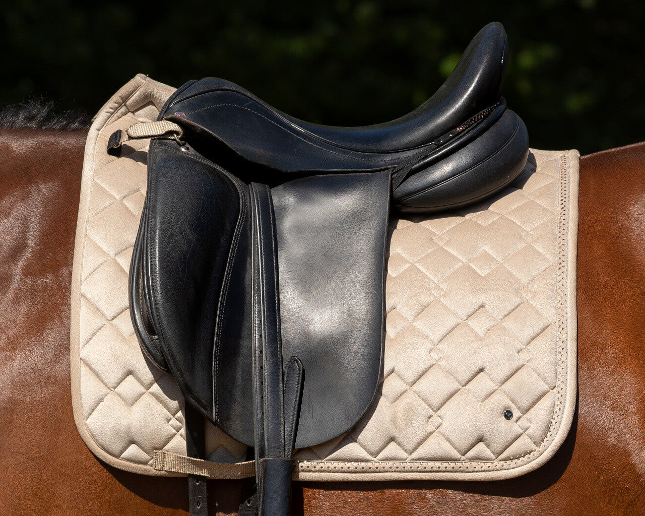 QHP Fading Collection Saddle Pad - Beige - Dressage
