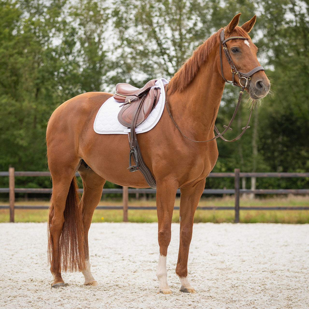 Sparkle All Purpose Saddle Pad