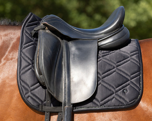 QHP Djune Saddle Pad - Black - Dressage and Jump