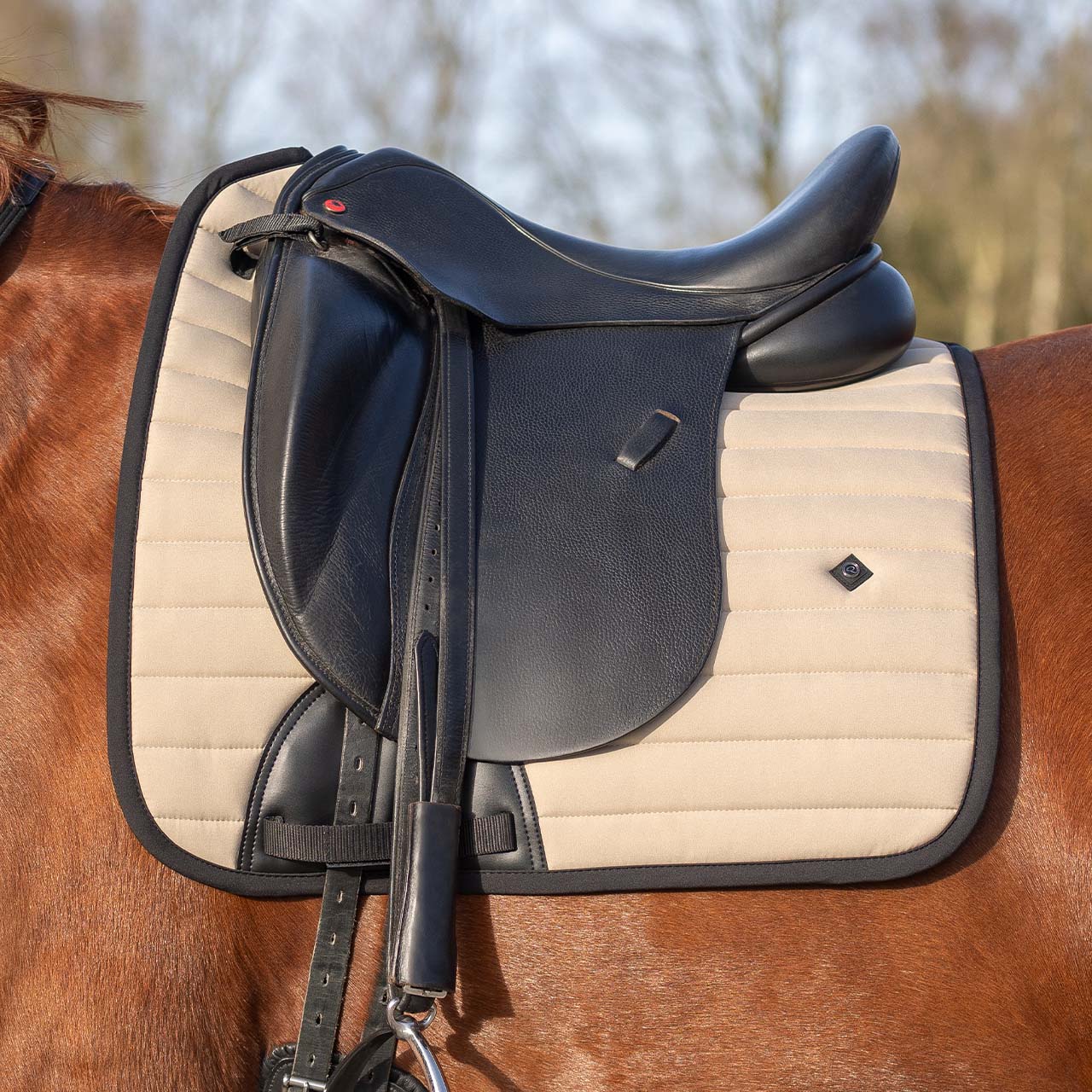 Salerno Saddle Pad - Beige - Dressage or Jump