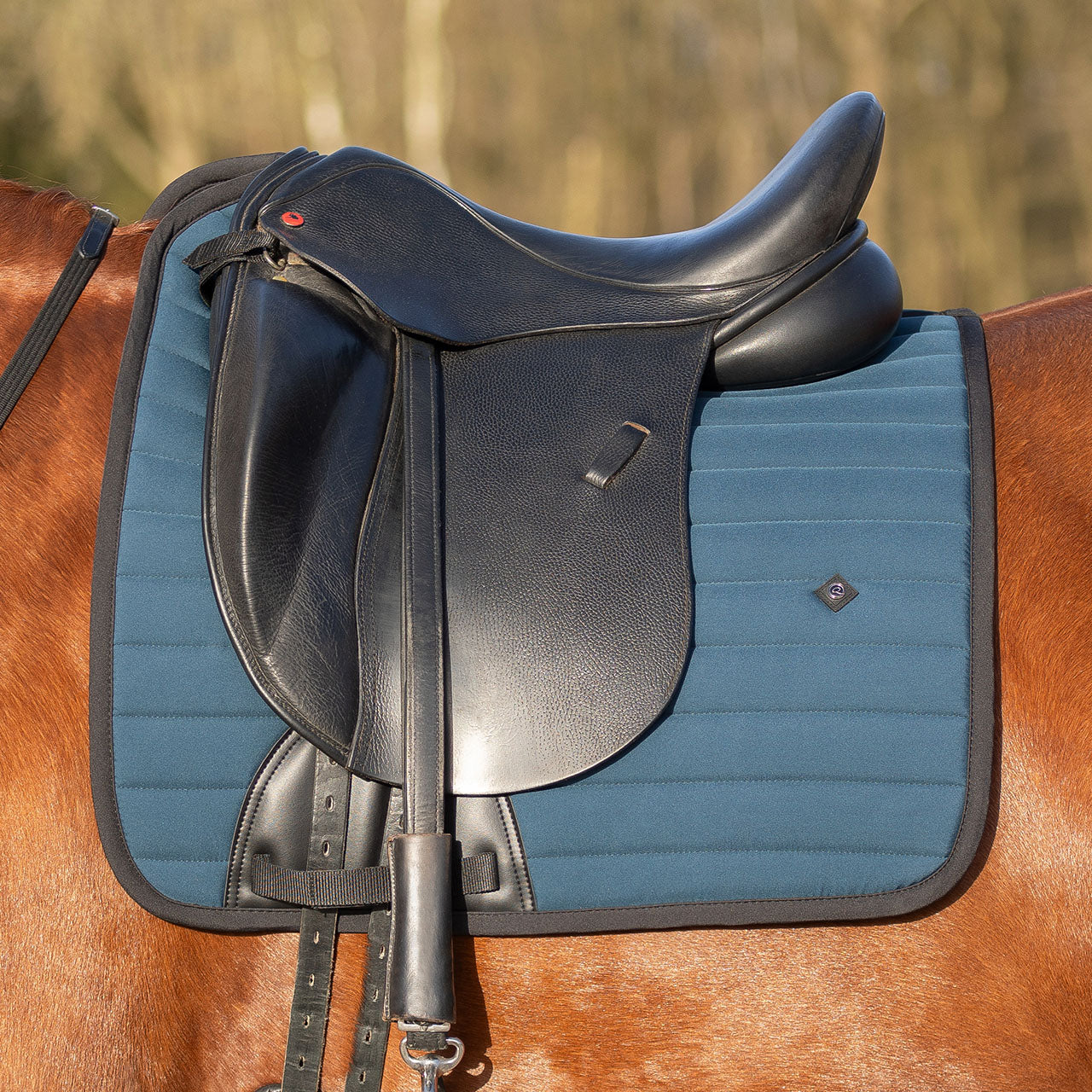 Salerno Saddle Pad - Midnight Teal - Dressage or Jump