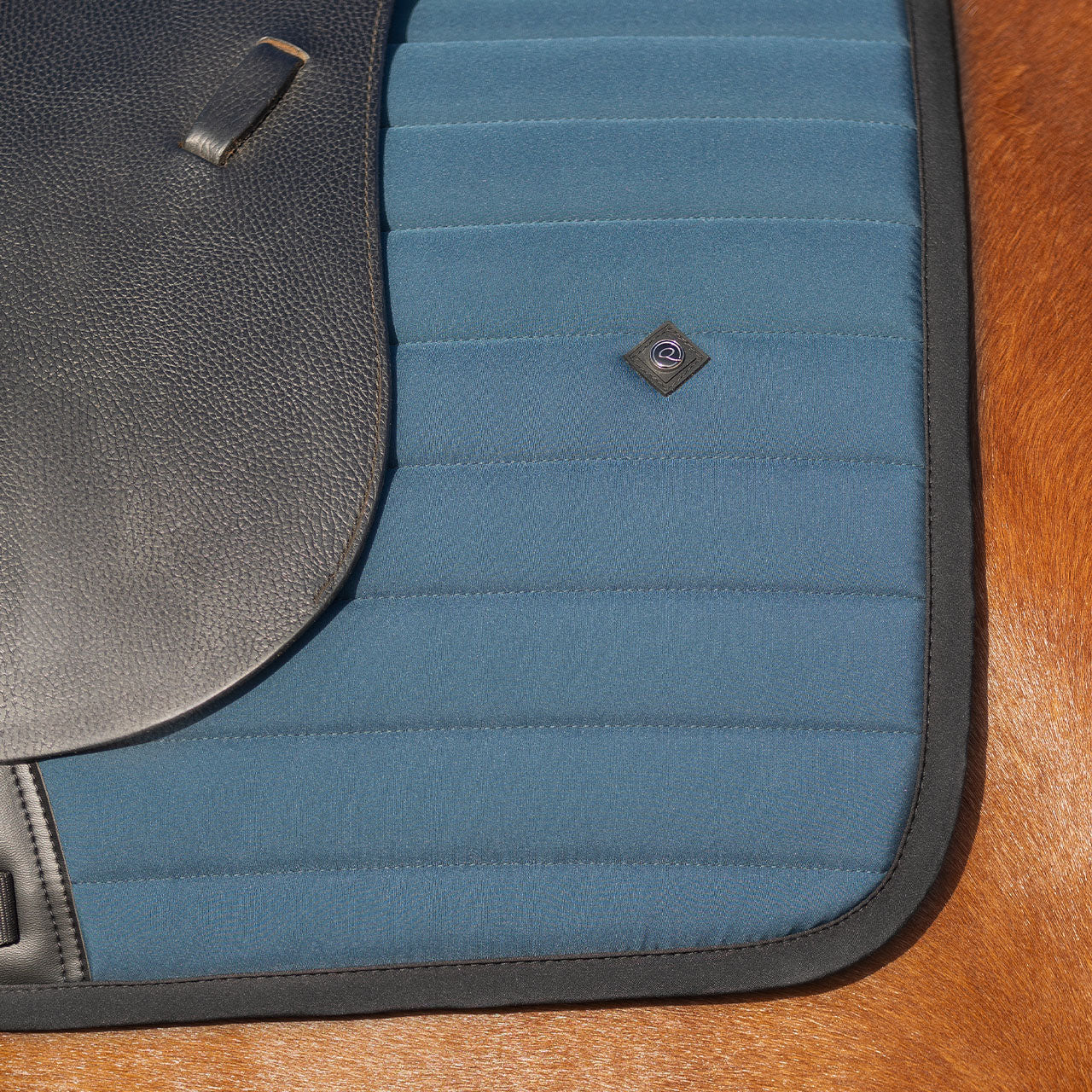 Salerno Saddle Pad - Midnight Teal - Dressage or Jump