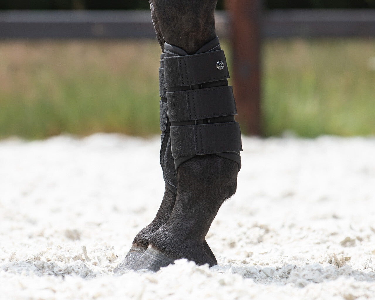 QHP Summer Glow Collection Brushing Boots - Black