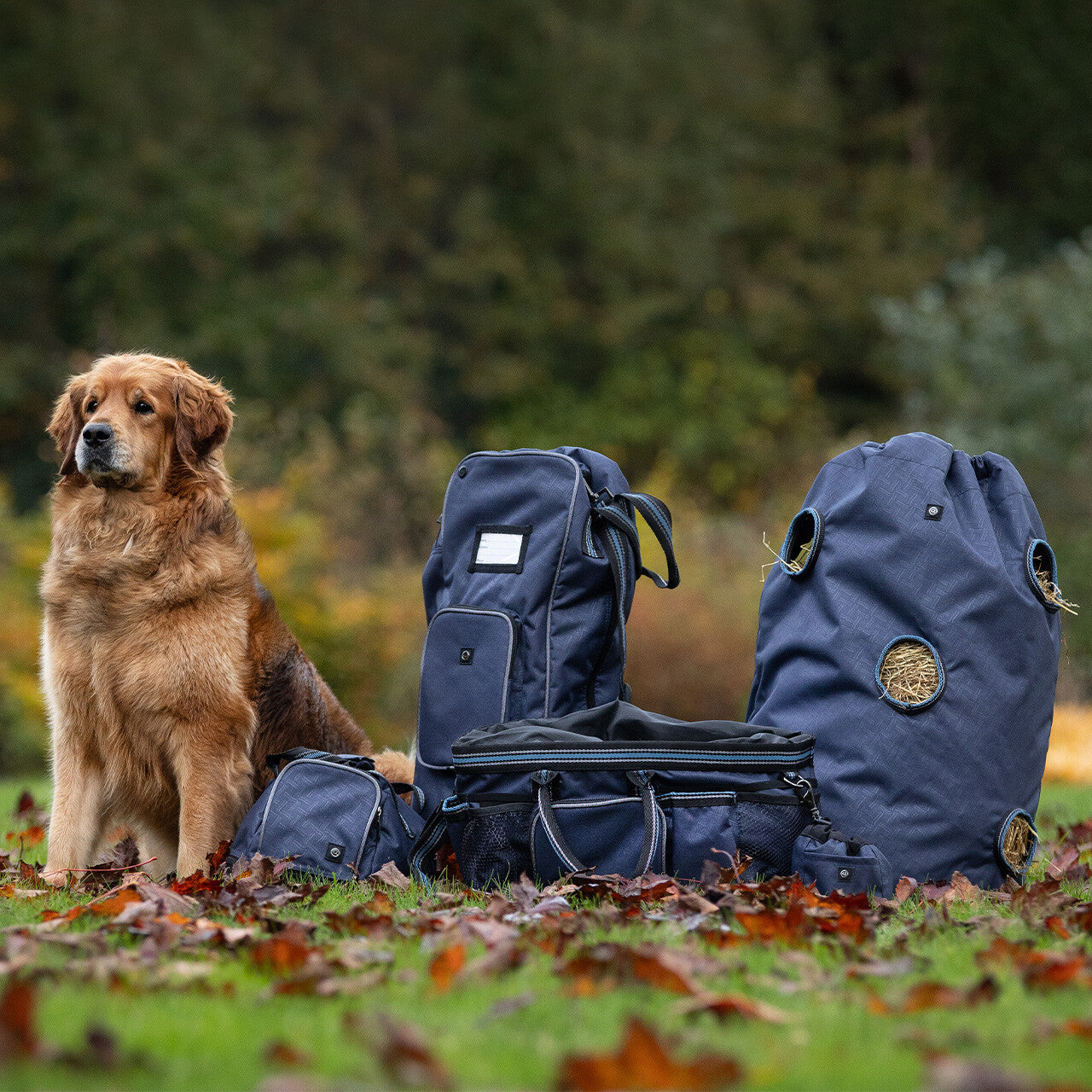 Luxury Grooming Bag - Sapphire