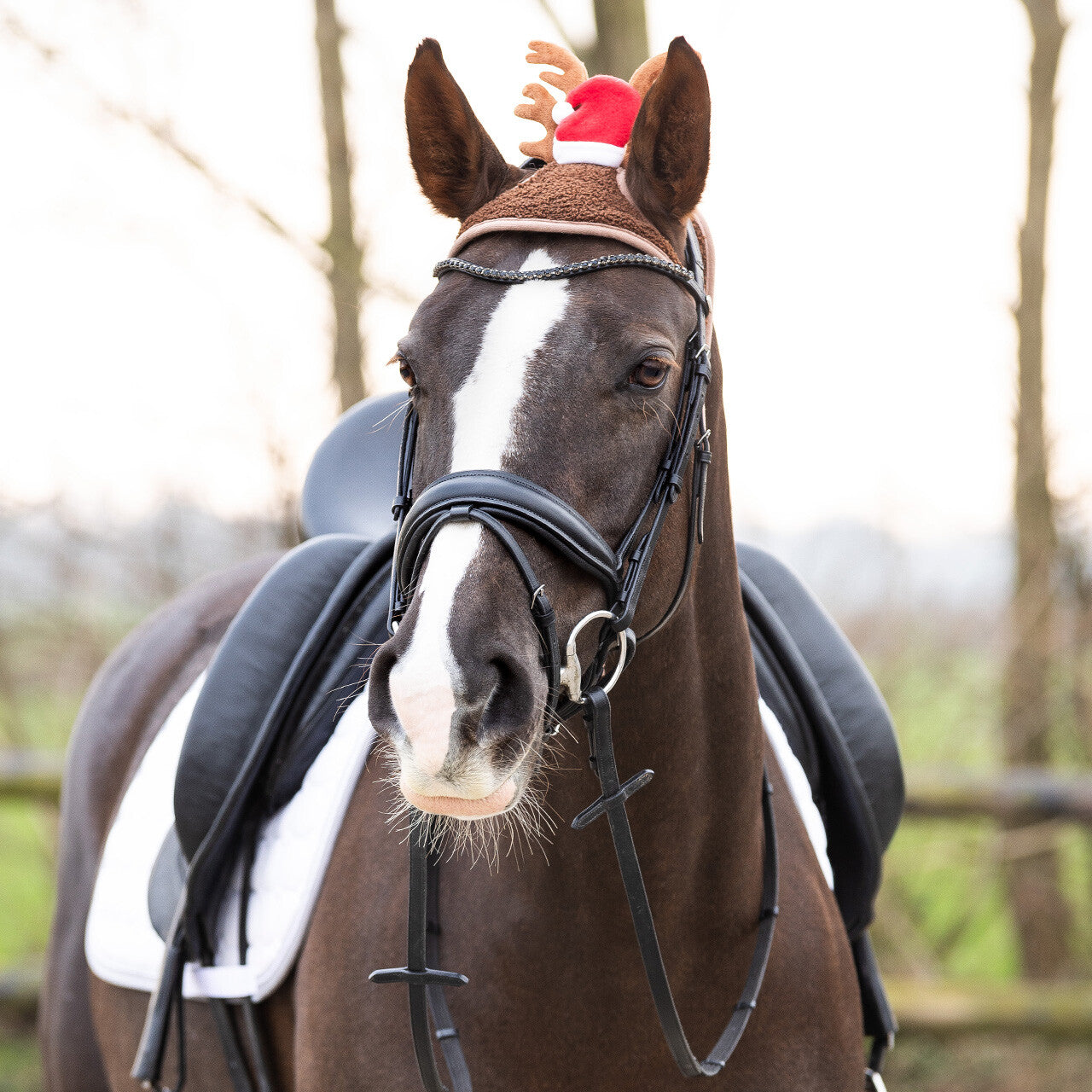 Reindeer Antler Ear Bonnet