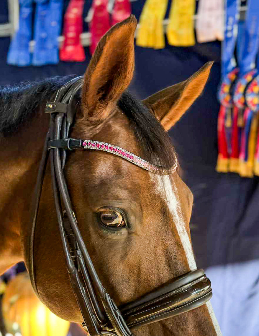 Joy Collection Browband - Amore