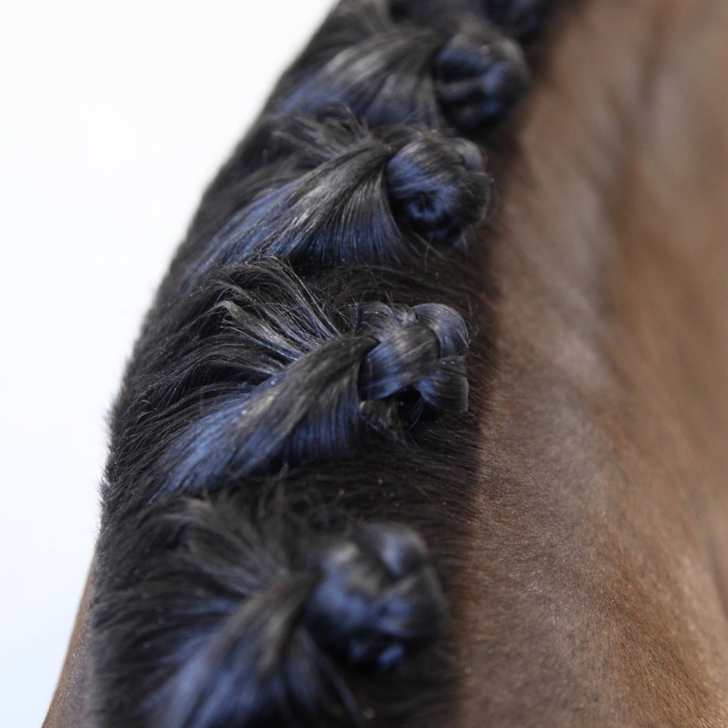 The Hairy Pony Plaiting Taming Wax