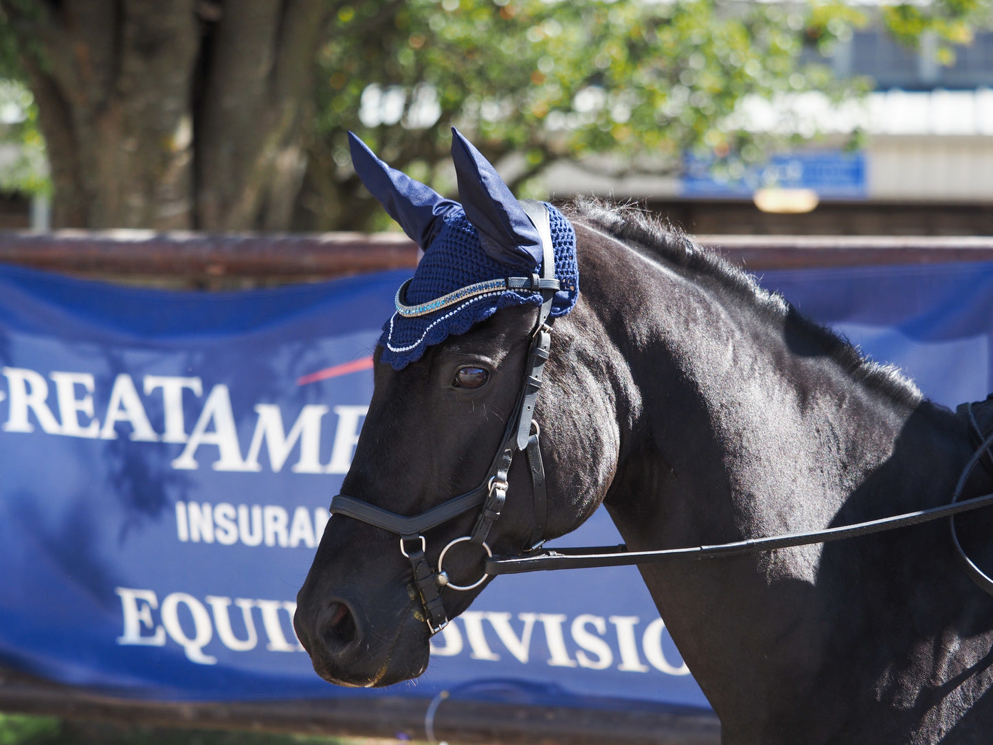 Joy Collection Browband - Orion