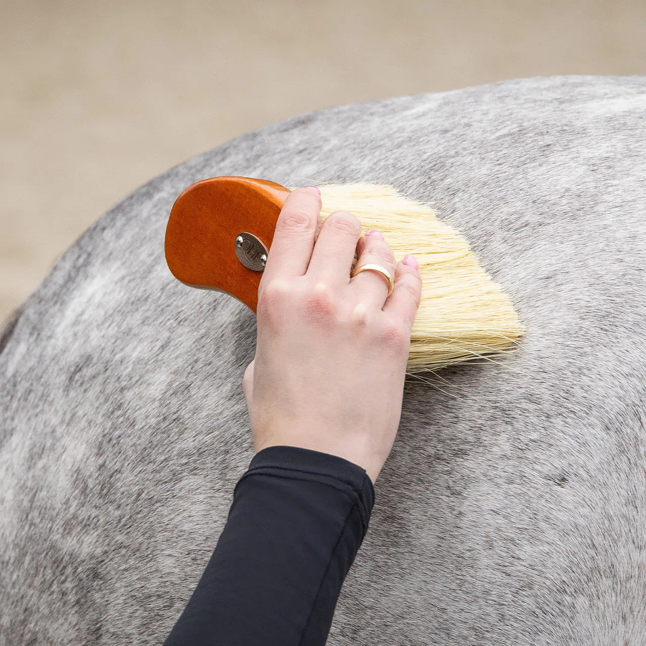 Wood and Tampico Grooming Set