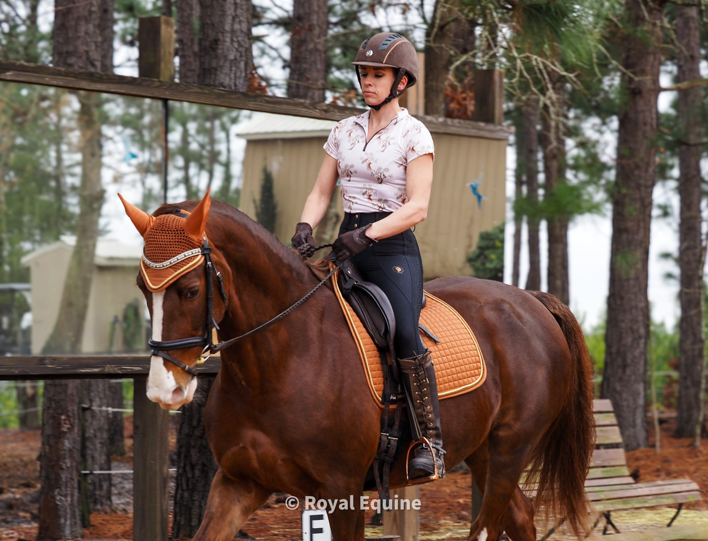 Deinhardt Designs Anne Training Shirt