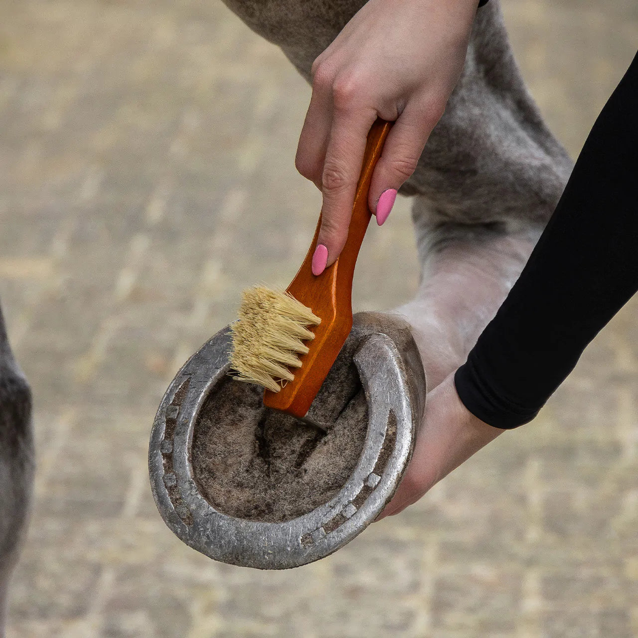 Wood and Tampico Grooming Set